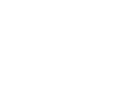 Vertus Solis Logo 2